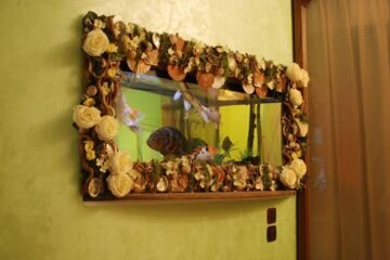 DSC_6955-e1308319766134