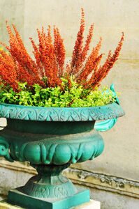 Depositphotos_6829952_xs